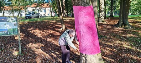 Rožnati oktober (4)